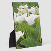 White Calla Lily Fotoplatte (Seite)