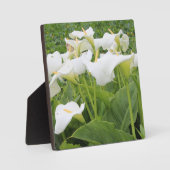 White Calla Lily Fotoplatte (Vorderseite)