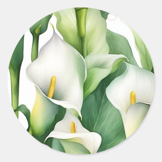 White Calla Lily Nature Runder Aufkleber (Vorderseite)