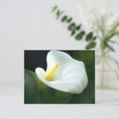 White Calla Lily Postcard Postkarte (Stehend Vorderseite)