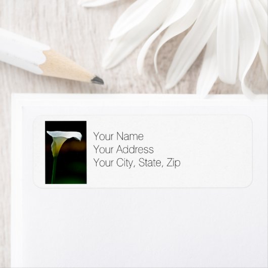 White Calla Lily Rücksendeadresse (Insitu)