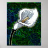 White Calla Lily (Semi Gloss Poster) Poster (Vorne)