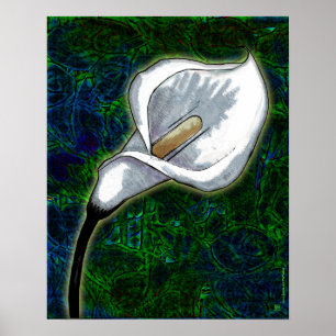 White Calla Lily (Semi Gloss Poster) Poster