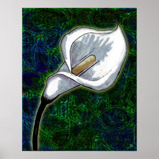 White Calla Lily (Semi Gloss Poster) Poster (Vorne)