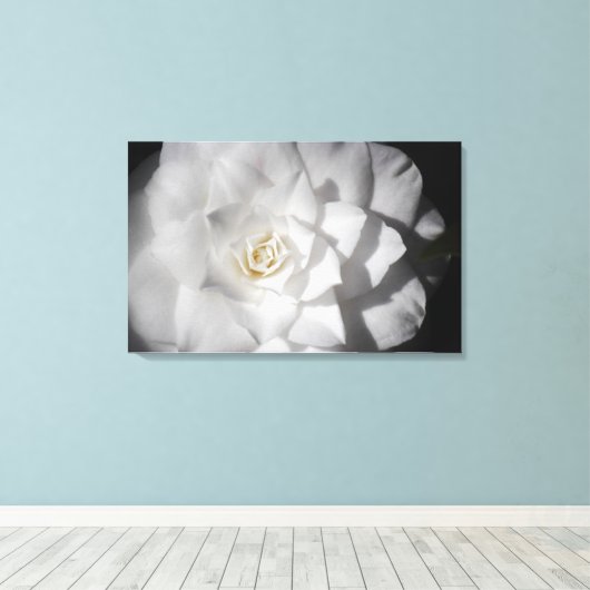 White Camelia Leinwanddruck (Insitu (Holzboden))