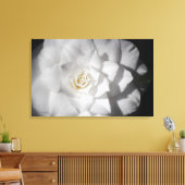 White Camelia Leinwanddruck (Insitu (Wohnzimmer))