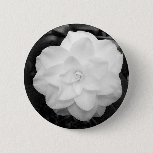 White Camellia Button (Vorderseite)