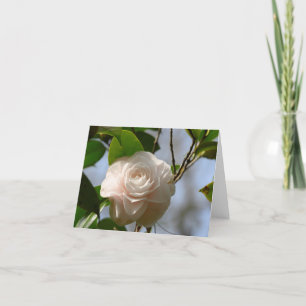 White Camellia geklappt Dankeschön Karte