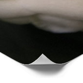 White Camellia Poster (Ecke)