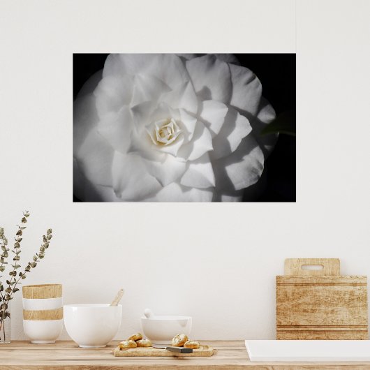 White Camellia Poster (Küche)
