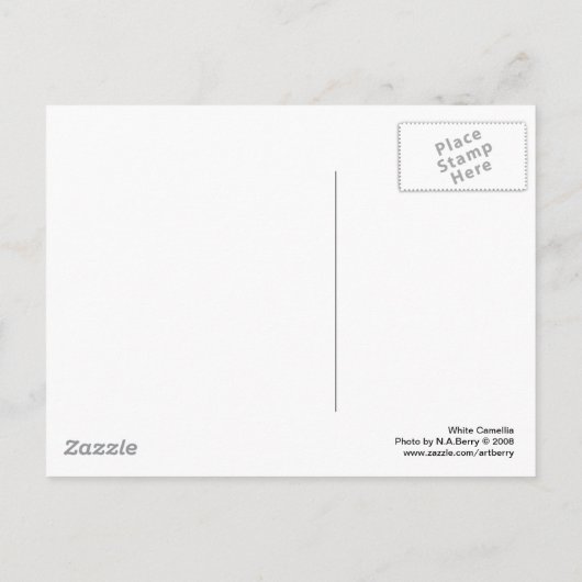 White Camellia Postkarte (Rückseite)