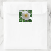 White Camellia Quadratischer Aufkleber (Tasche)