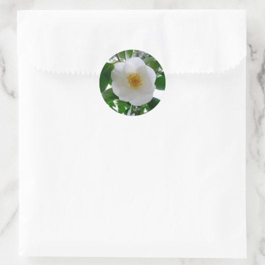 White Camellia Runder Aufkleber (Tasche)