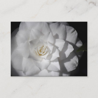 White Camellia Visitenkarte