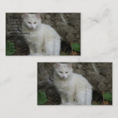 White Cat Business Card Visitenkarte (Vorne/Hinten)