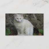 White Cat Business Card Visitenkarte (Rückseite)