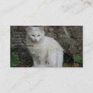 White Cat Business Card Visitenkarte