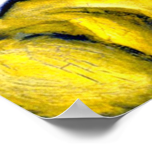 White Cat, fine art, Poster (Ecke)