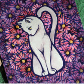 White Cat Mauve Daisies