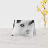 White Cat Note Card Karte (Gelbe Blume)