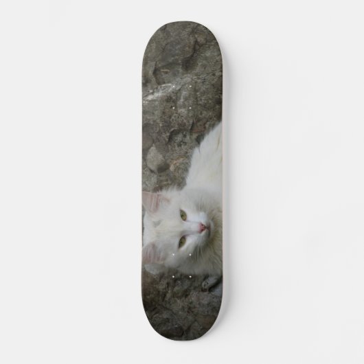 White Cat Skateboard (Vorderseite)