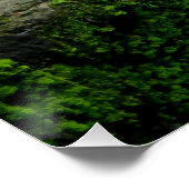 White Cat Trivia Poster (Ecke)