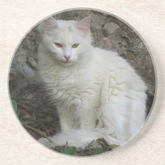 White Cat Untersetzer (Vorne)