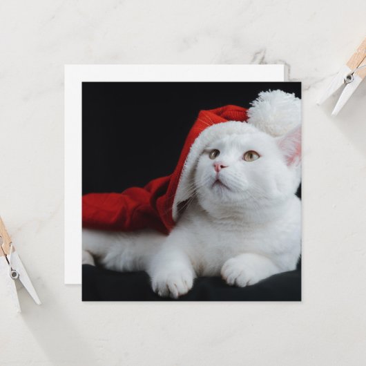 White Cat Weihnachtskarte Karte (Vorderseite/Rückseite Beispiel)