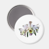 White Cattleya Orchids Magnet (Vorderseite/Rückseite)