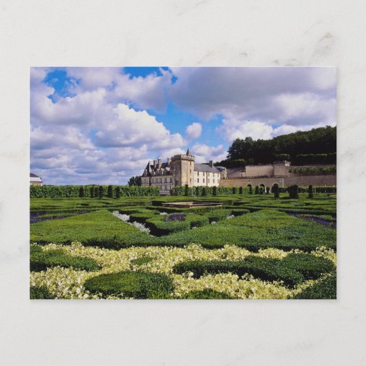 White Chateau de Villandry, Loire Region, Frankrei Postkarte (Vorderseite)
