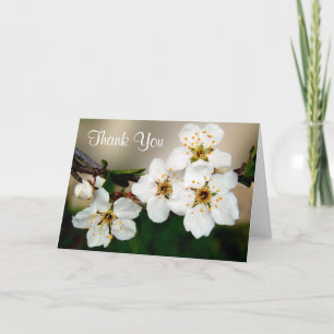 White Cherry Blossom Blume Vielen Dank Dankeskarte