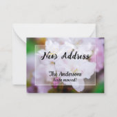 White Cherry Blossom neue Ankündigung (Vorderseite)