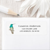 White-chested Emerald Hummingbird (Insitu)