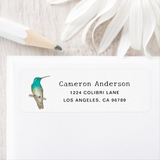 White-chested Emerald Hummingbird (Insitu)