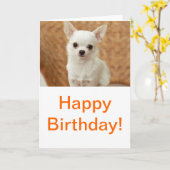 White Chihuahua Karte (Gelbe Blume)