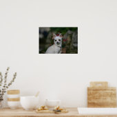 White Chihuahua Poster (Küche)