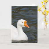 White Chinese Goose Karte (Gelbe Blume)