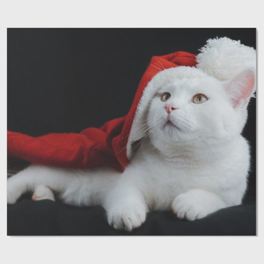 White Christmas Cat Wrapping Paper Geschenkpapier (Flach)