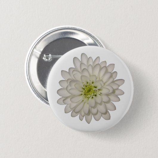 White Chrysantheman Button (Vorne & Hinten)