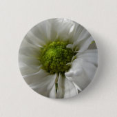 White Chrysantheman Button (Vorderseite)