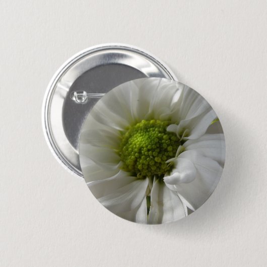 White Chrysantheman Button (Vorne & Hinten)