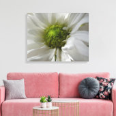 White Chrysanthemum Canvas Print Leinwanddruck (Insitu (Wohnzimmer))