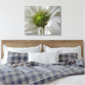 White Chrysanthemum Canvas Print Leinwanddruck (Insitu (Schlafzimmer))