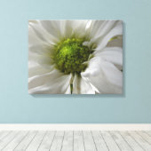 White Chrysanthemum Canvas Print Leinwanddruck (Insitu (Holzboden))