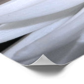 White Chrysanthemum Canvas Print Poster (Ecke)