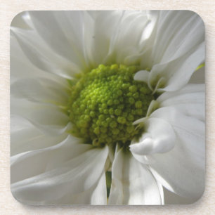 White Chrysanthemum Cork Untersetzer