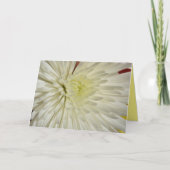 White Chrysanthemum Floral Fotografisch Karte (Vorderseite)