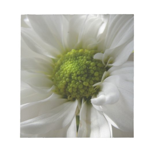 White Chrysanthemum Notepad Notizblock (Vorderseite)