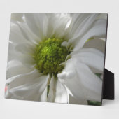 White Chrysanthemum Plaque Fotoplatte (Seite)
