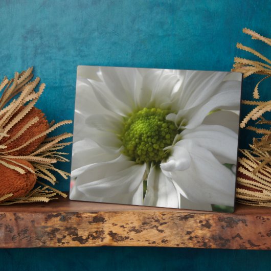 White Chrysanthemum Plaque Fotoplatte (Seite)